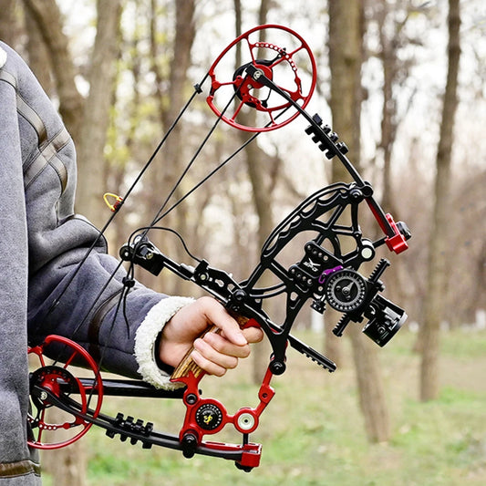 Compound Bow Outdoor