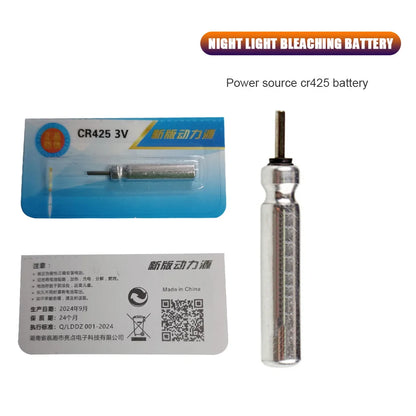 10-100PCS Fishing Floats Battery CR425