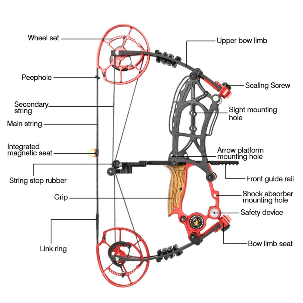 Compound Bow Outdoor