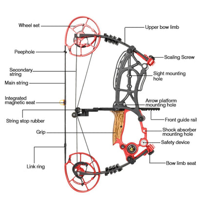 Compound Bow Outdoor