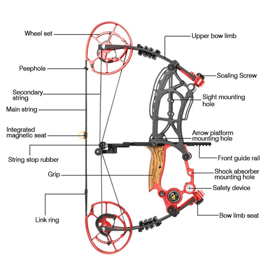 Compound Bow Outdoor